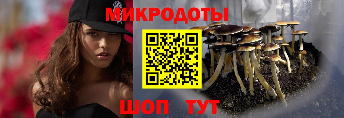 Псилоцибиновые грибы Psilocybine cubensis  Вход с VPN  Шахты 