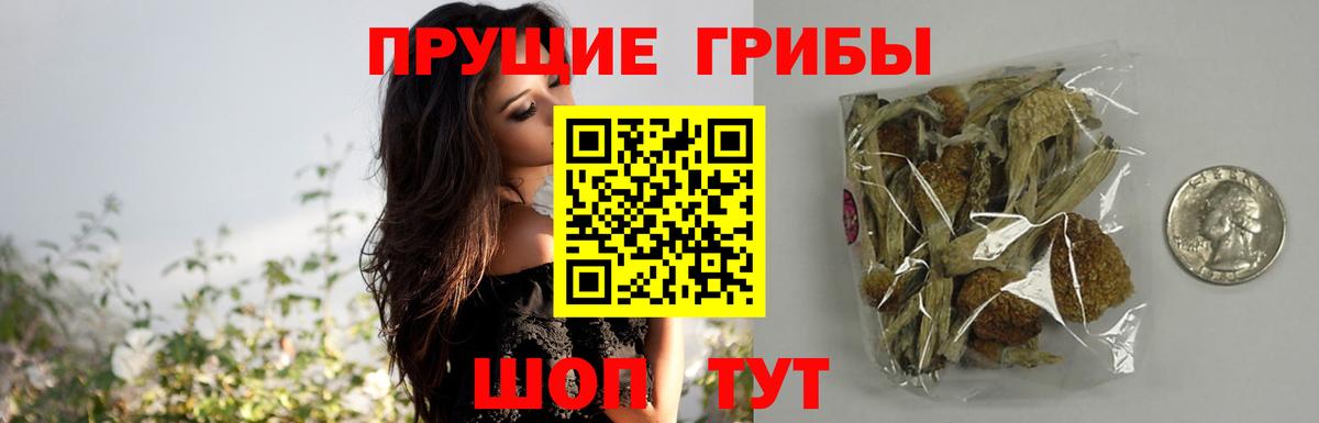 Псилоцибиновые грибы MAGIC MUSHROOMS Шахты